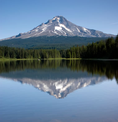 Pacific Northwest Mountain and Douglas Fir Trees